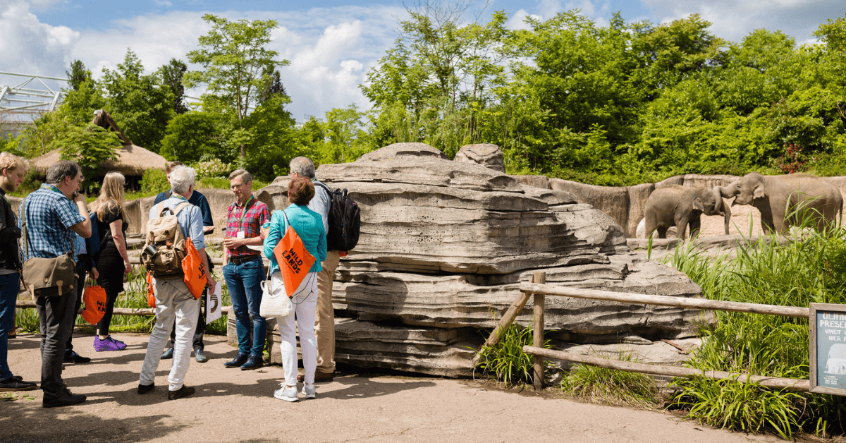 Mensen lopen in dierenpark WILDLANDS