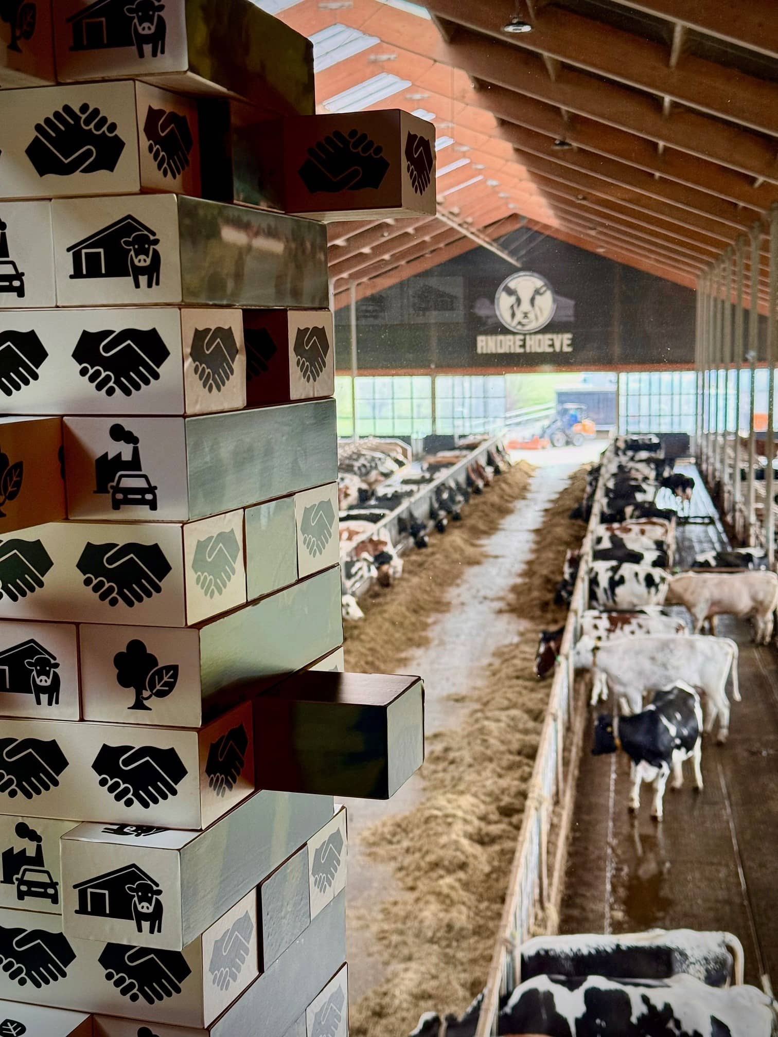 Stal met koeien van bovenaf