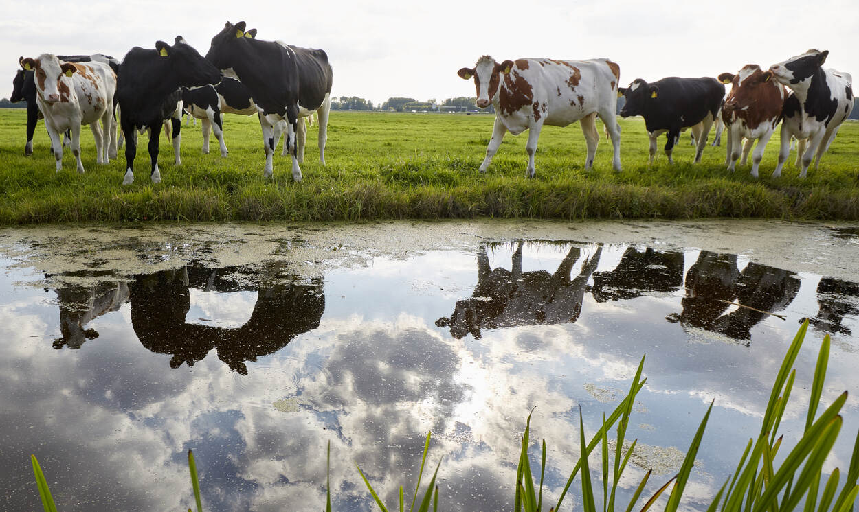 DAW Noord-Oost Veluwe