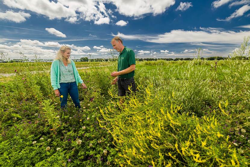 man en vrouw in veld gele bloemen