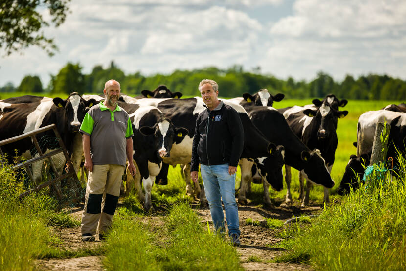 2 mannen in weiland met koeien op de achtergrond