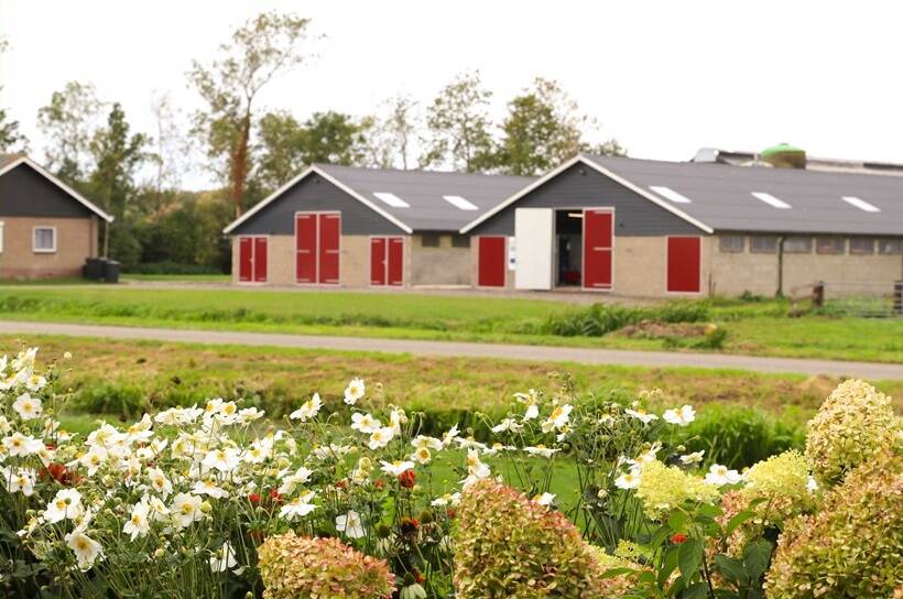 Oude boerderij met bloemenveld ervoor