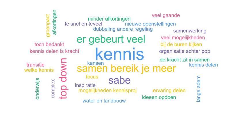 woordcloud met de uitslag van de Mentimeter