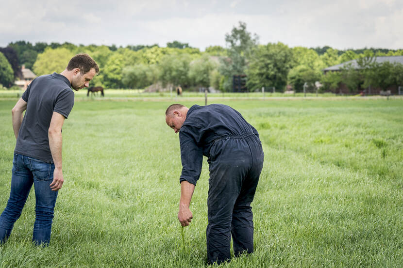 Twee mensen in een weiland waarbij een van de twee een pol gras los trekt