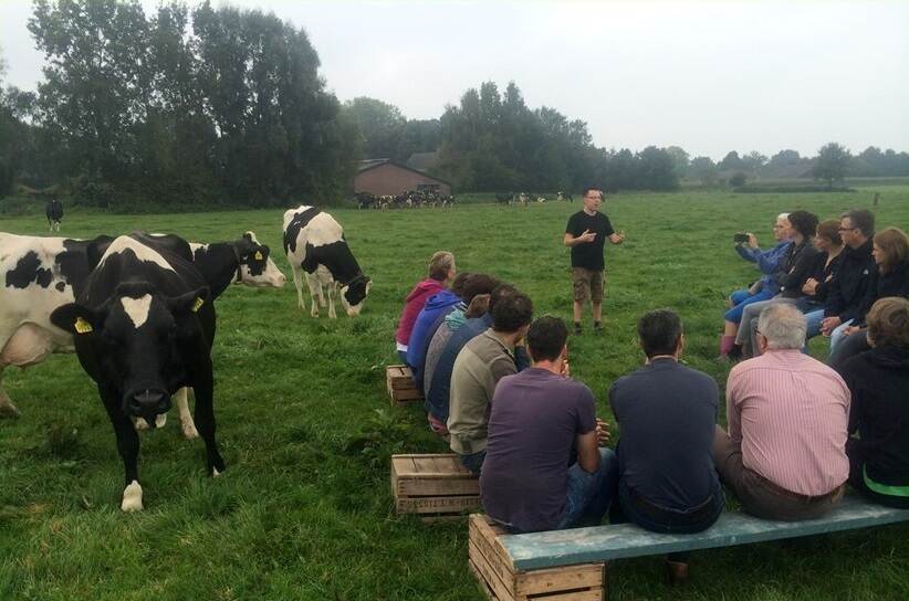 Foto met netwerkende mensen zittend op bankjes in een weiland met een paar koeien ernaast