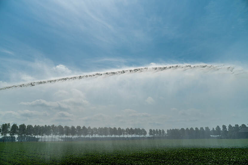 Platteland in de Hollandse Flevopolder met straal water van watersproeier