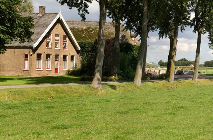 Links boerderij met rechts weiland en koeien