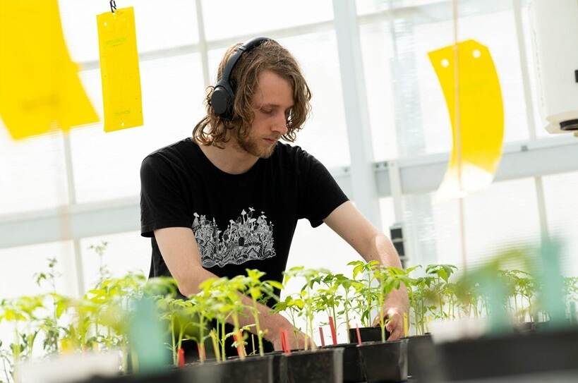 Man met koptelefoon achter tafel met plantjes