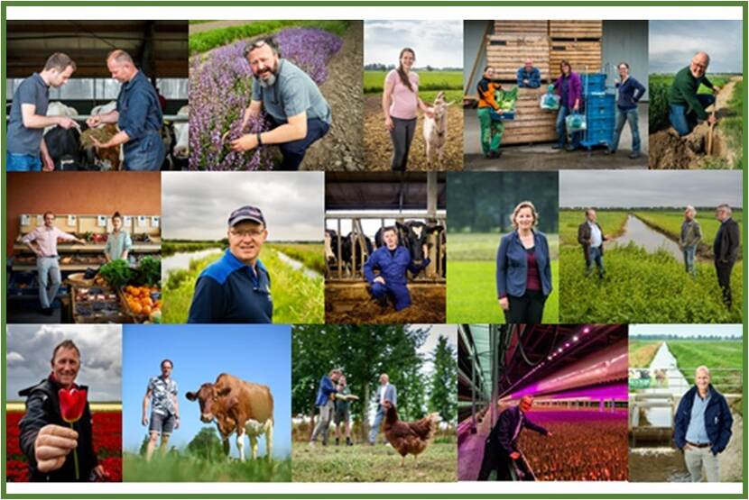 Diverse foto's van mensen samengevoegd in collage