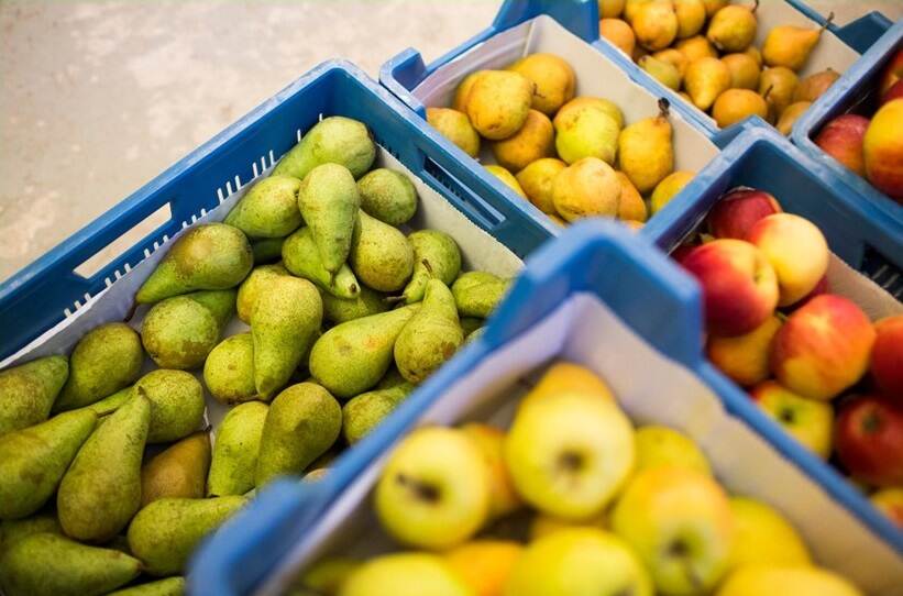 blauw kisten gevuld met appels en peren