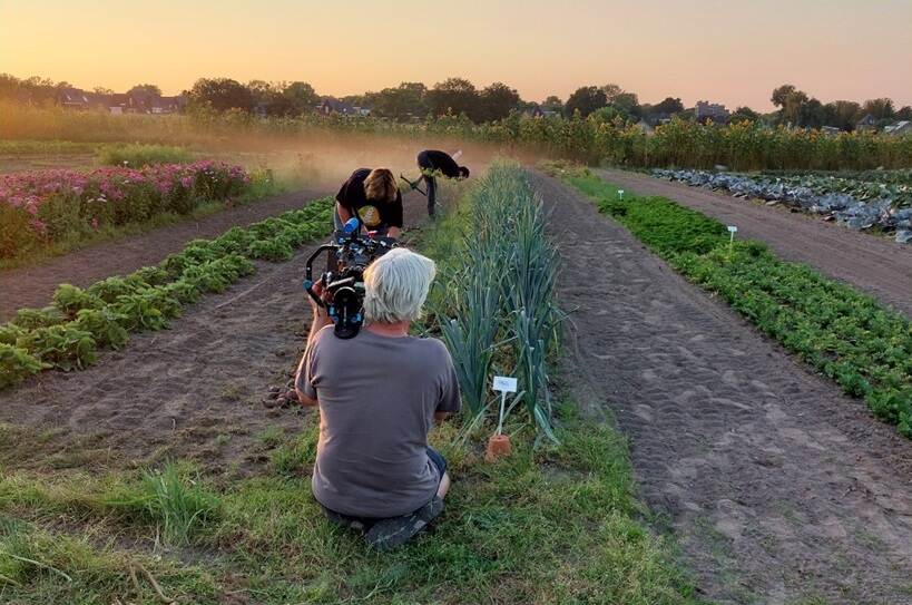 man die vanaf de grond in een moestuin filmt