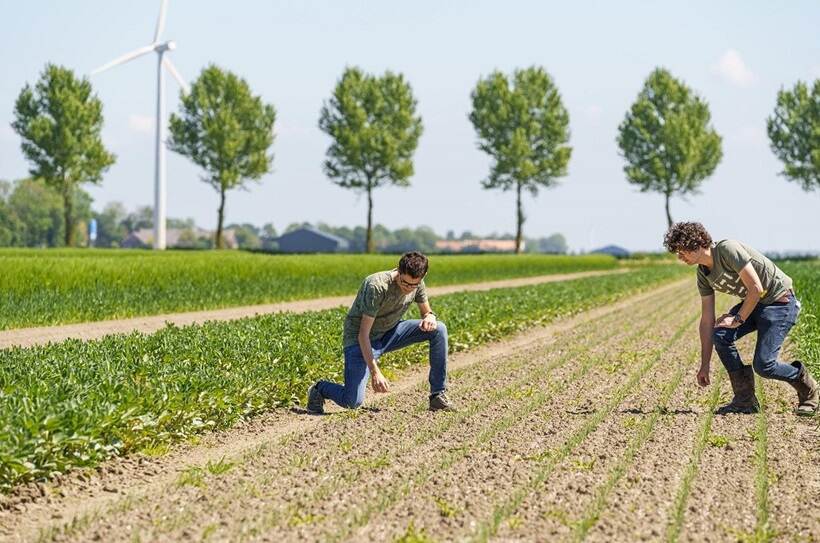 2 mannen op hun knieën op een stuk strokenteelt land