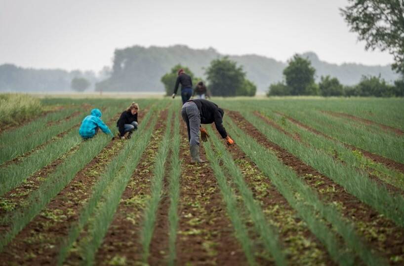 Diverse mensen aan het werk op het land