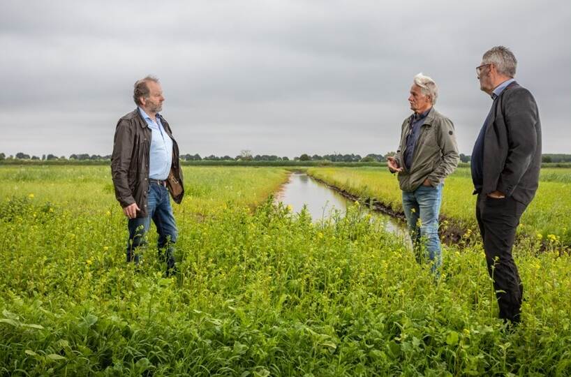 3 heren staan in een weiland met elkaar te praten