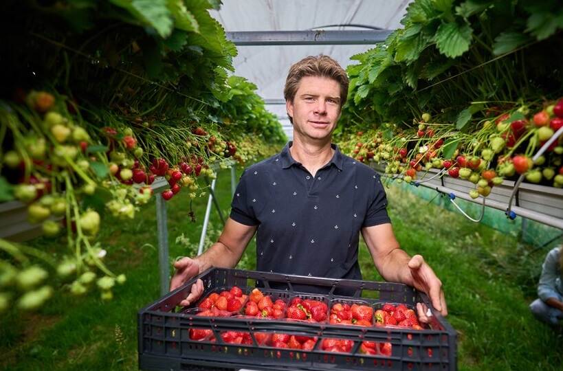 Man met kist aardbeien in zijn hand