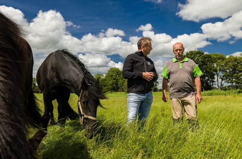 2 mannen in wei met 2 paarden