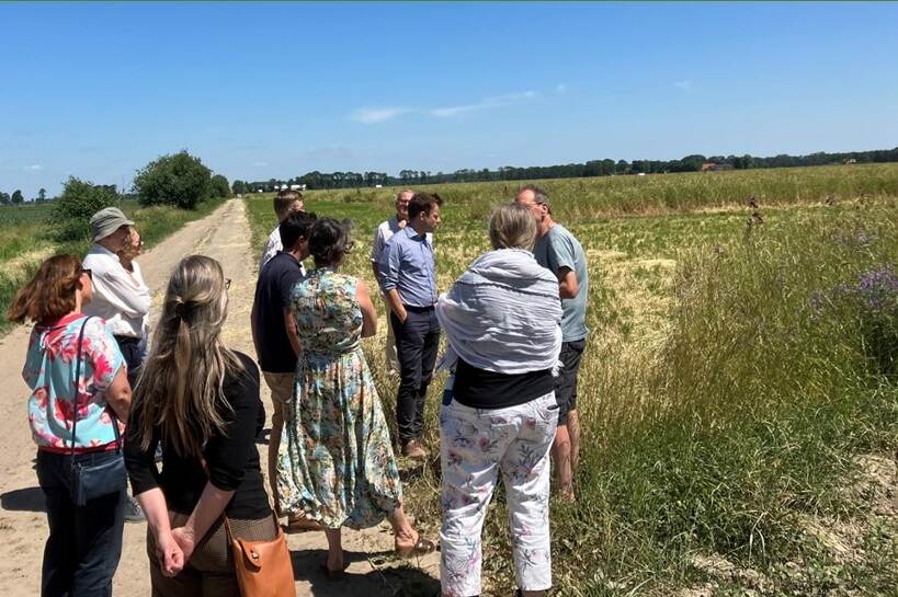 Groep mensen op een veld