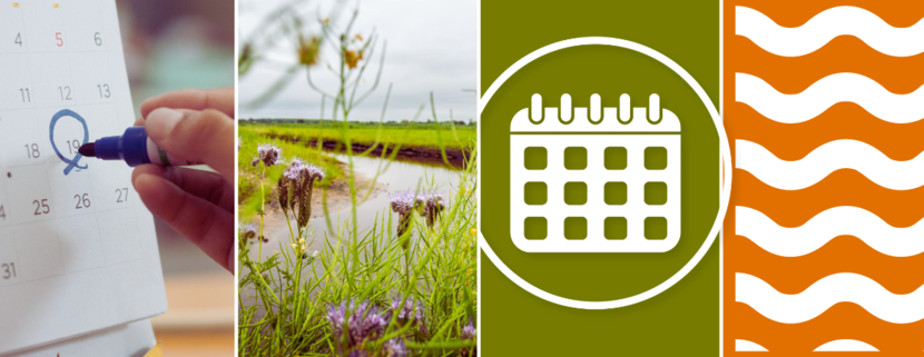 Beelden van een weide en een geillustreerde kalender
