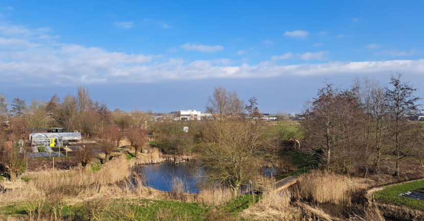 foto natuurgebied