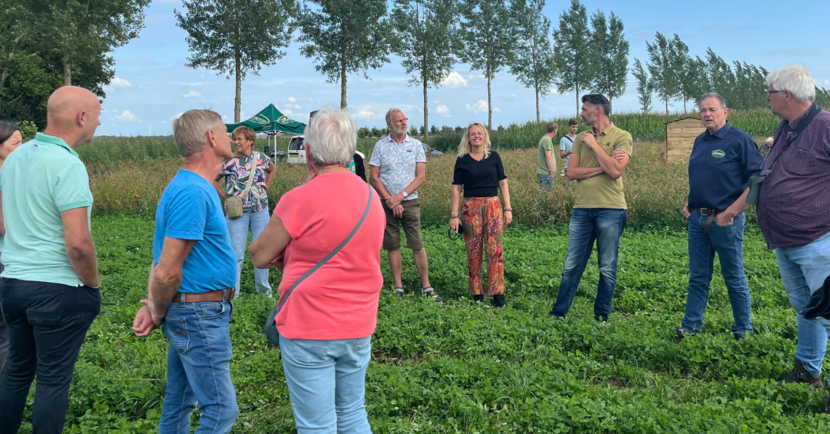 Mensen in een groep op het veld