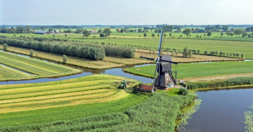 Landschap molen