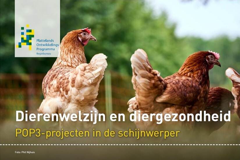 Voorkant Themanummer Dierenwelzijn en diergezondheid